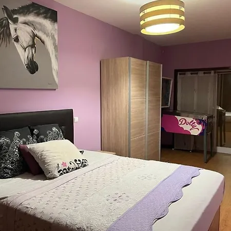 Flamant * Agucadoura